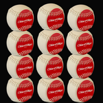 CleanFuego Starter - 12 Pack Bundle